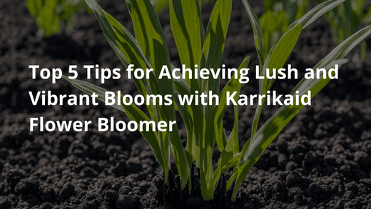 Top 5 Tips for Achieving Lush and Vibrant Blooms with Karrikaid Flower Bloomer