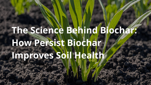 The Science Behind Biochar: How Persist Biochar Improves Soil Health