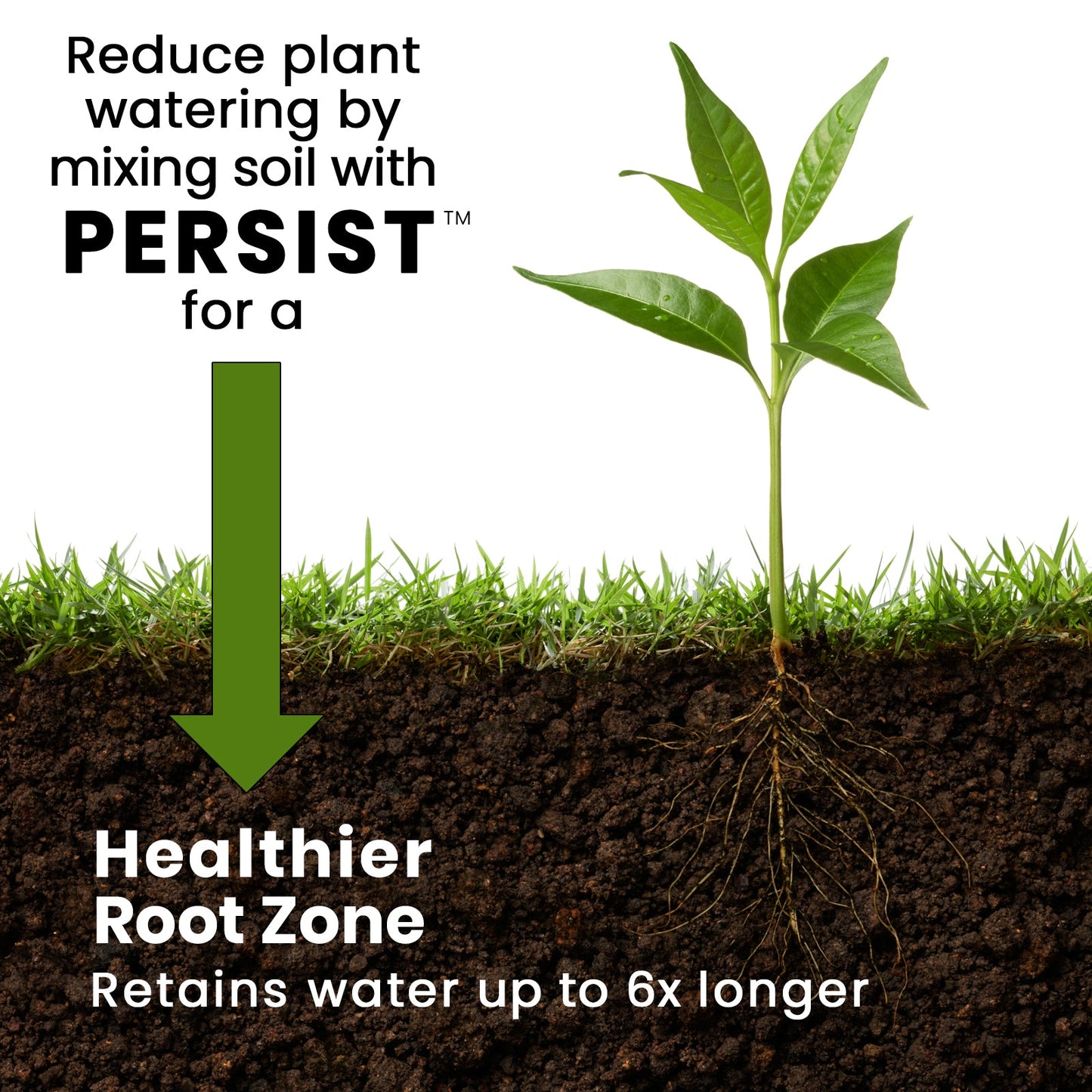 Persist Biochar Make Healthy Root Zone