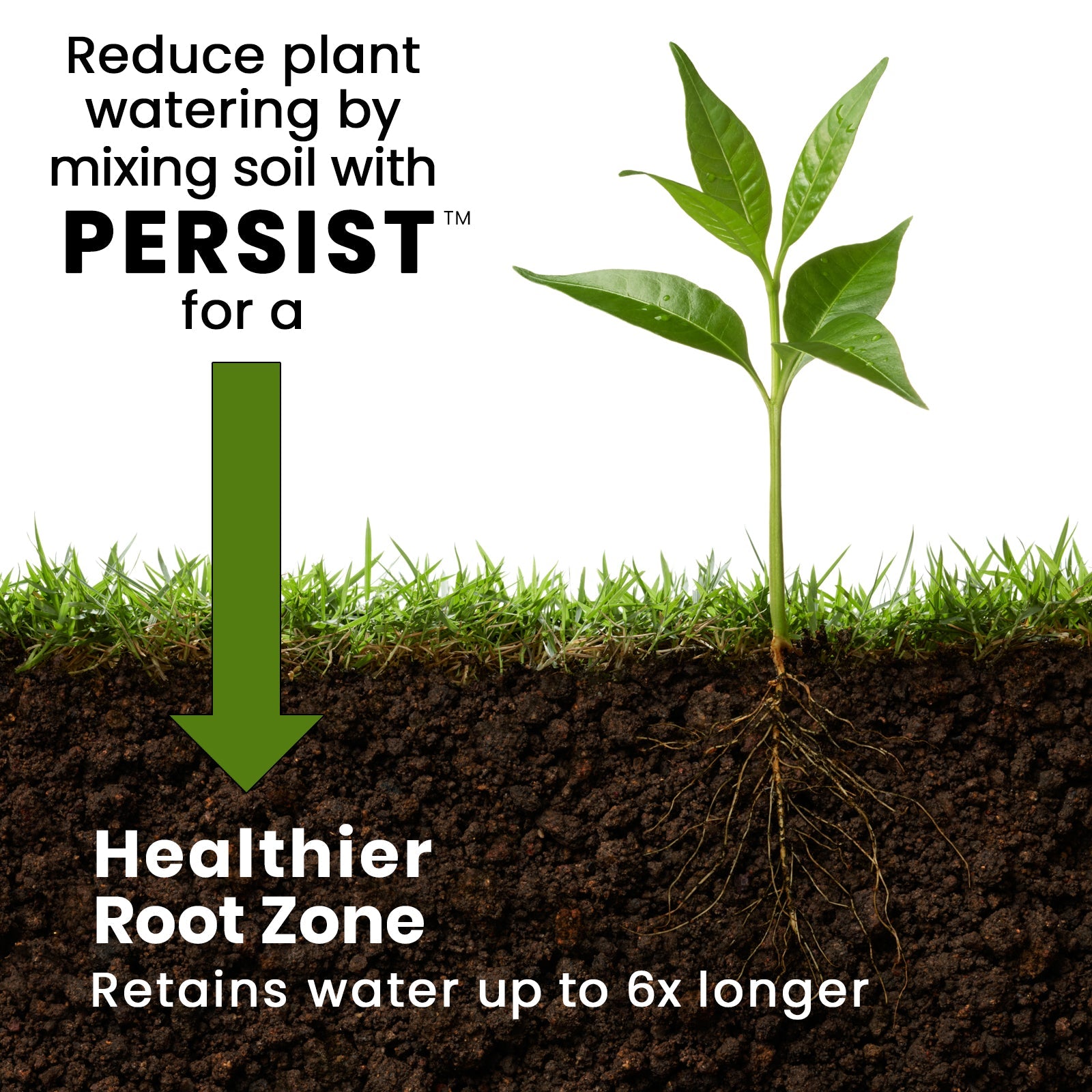 Persist Biochar Make Healthy Root Zone