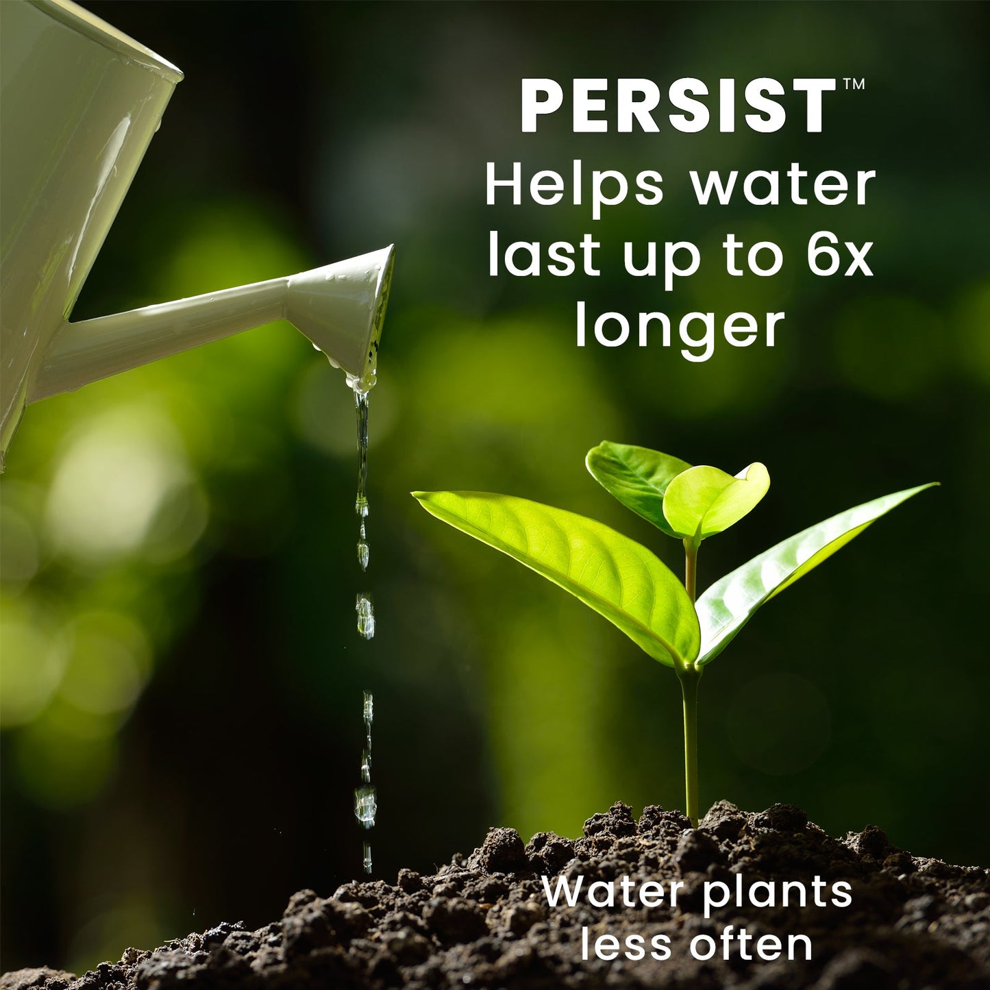 Persist Biochar Helps Water Last Up To 6X Longer