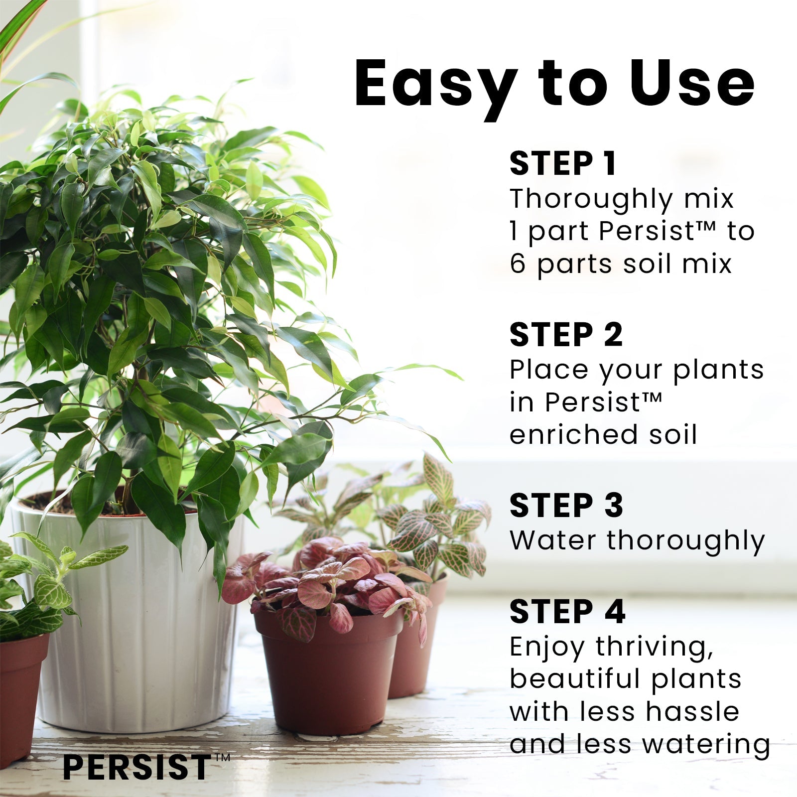 Persist Biochar Easy To Use Process