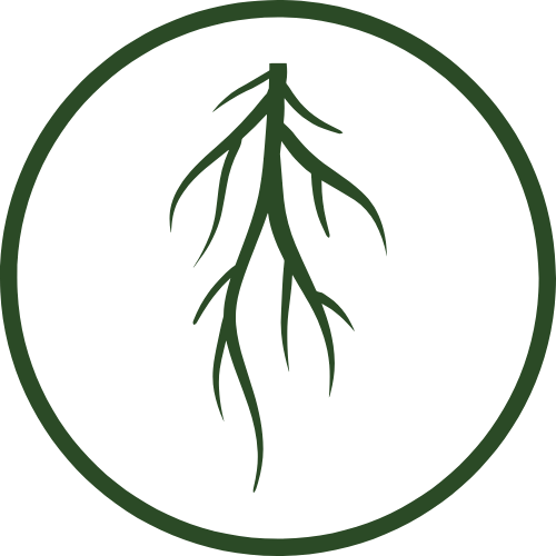 Promotes Fuller Root System Development