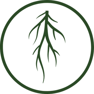 Promotes Fuller Root System Development