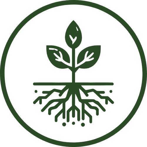 Enhanced Nutrient Absorption