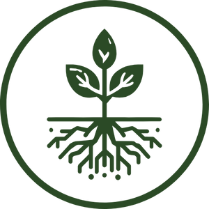 Enhanced Nutrient Absorption