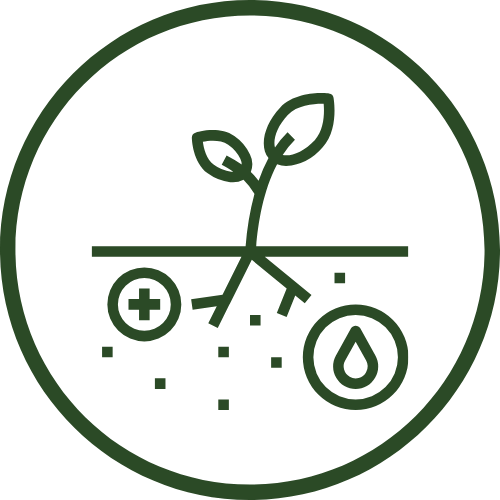 Can Help Increase Microbial Activity