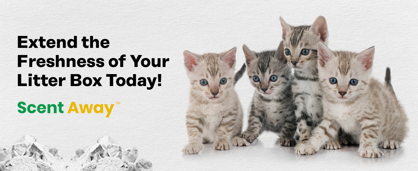 4 Cats With Scentaway